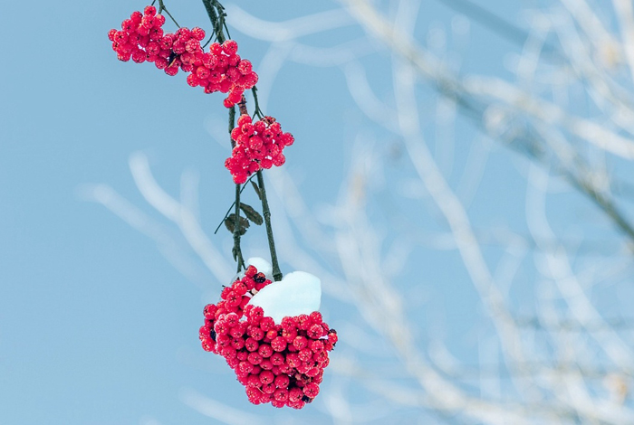 【萊沃醫療：知識分享】今日小雪，快“藏”好這份健康秘籍！